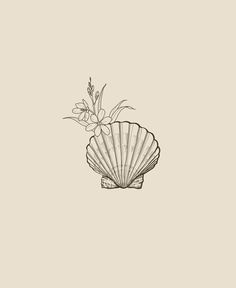 a black and white drawing of a seashell with flowers in the shell on a beige background