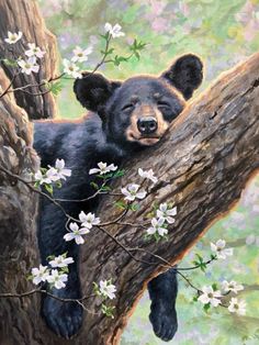 a painting of a black bear sitting in a tree with white flowers on it's branch