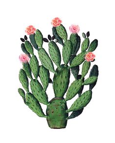 a watercolor painting of a cactus with pink flowers