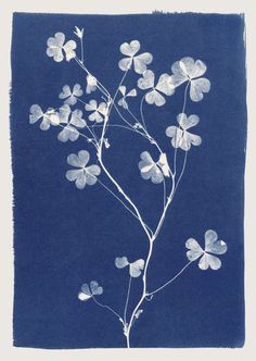 a blue and white drawing of four leaf clovers