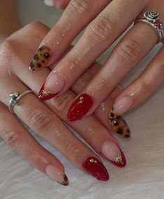 Giraffe French Tip Nails, Classy Grunge Nails, Tiny Christmas Nail Art, Gel X Thanksgiving Nails, Animal Print Nails Fall, Red Nails With Tortoise Shell, Short Nail Leopard Print, Red And Lepord Nails Acrylic, Gold Tortoise Nails