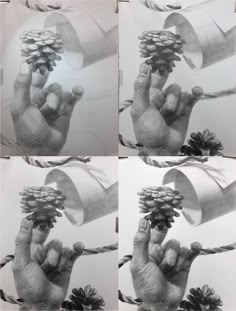 four different pictures of hands holding pine cones