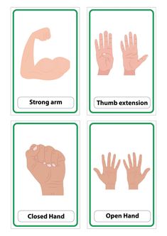 four different types of hand gestures are shown in green and white frames with the words,