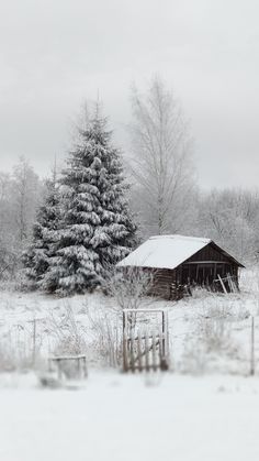 an old barn in the middle of winter with snow on the ground and trees behind it