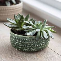 a small green planter sitting on top of a wooden table