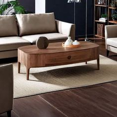 a living room with two couches, a coffee table and a bookcase in it