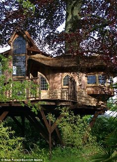 a tree house built into the side of a tree