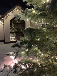 a christmas tree with lights in front of a house