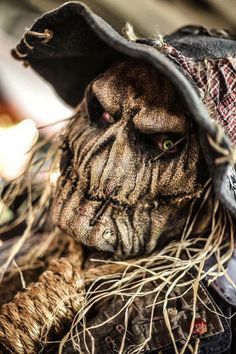 a close up of a scarecrow wearing a hat