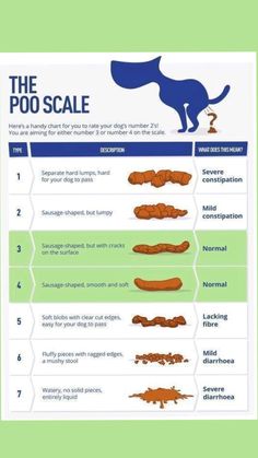 the poo scale for dogs is shown in this graphic above it's description