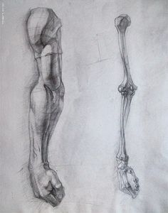 two different views of the same human body, one with a skeleton and one without