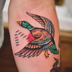 a colorful bird tattoo on the arm