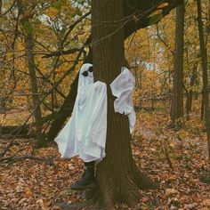 two white ghost costumes hanging from a tree in the woods with leaves on the ground