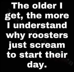 the older i get, the more i understand why roosters just scream to start their day