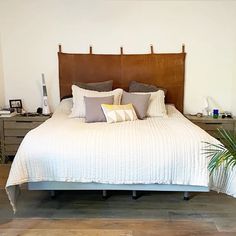 a bed with two pillows on top of it and a plant in front of the headboard