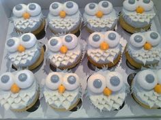 twelve cupcakes with white frosting and gray icing, decorated like owls