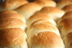 freshly baked bread rolls lined up on a baking sheet in the oven, ready to go into the oven