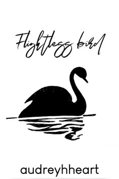 a black swan floating on top of a lake next to the words, feathers bird