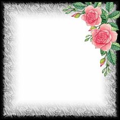 an ornate frame with pink roses and leaves on the edges is shown in this image