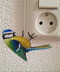 a blue and yellow bird painted on the wall next to a white electrical outlet cover