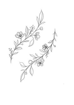 a line drawing of flowers and leaves on a white background