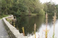 a bench sitting on the side of a river