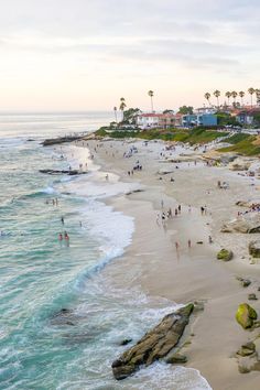 people are on the beach and in the water at sunset or sunrise, with palm trees lining the shoreline