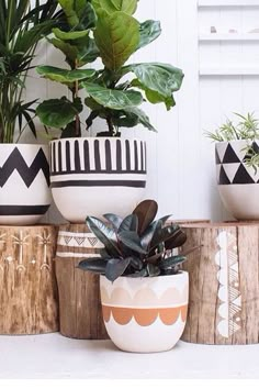 three potted plants sitting on top of wooden logs in front of a white wall