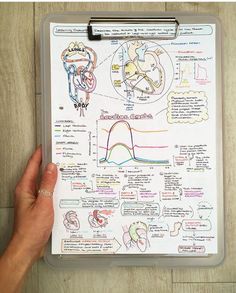 a hand holding a clipboard with diagrams on it