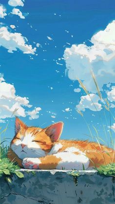 an orange and white cat laying on top of a grass covered field under a blue cloudy sky