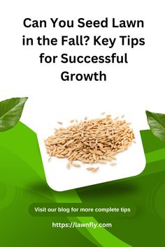 an advertisement with the words can you seed lawn in the fall? key tips for successful growth