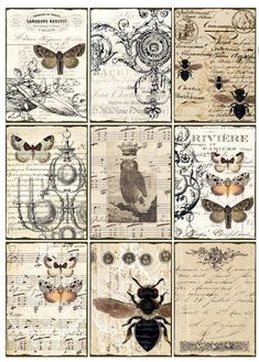 a collage of different images with bugs and flowers on them, including bees in the middle