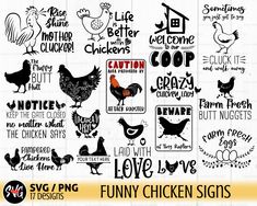 funny chicken signs and sayings svg files for cricut or silhouette cutting