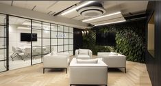 an office with white furniture and plants on the wall behind glass partitions that lead to a conference room