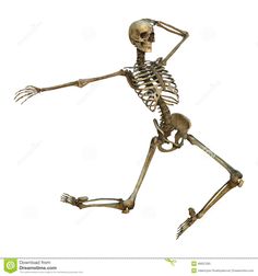 a skeleton running on white background