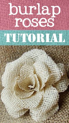 the cover of burlap roses is shown with an image of a flower on it