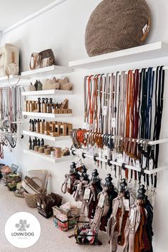 Produktübersicht 2 LOVIN‘DOG Store Bad Salzuflen - LOVIN‘DOG Dog Leash Display Ideas, Pet Shop Shelves, Dog Collar Storage Ideas, Pet Home Decor, Dog Retail Store Display Ideas, Dog Store Display Ideas, Pet Store Aesthetic, Dog Store Ideas, Dog Storage Ideas Organizations