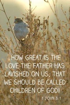 a small bird sitting on top of a dry grass field with the words, how great is the love the father has lavished on us that we should be called children of god