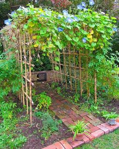 an outdoor garden with lots of plants growing on it's sides and brick walkway