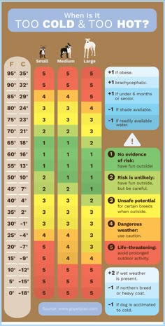 an info poster showing the different types of hot dogs and what they are used to cook them