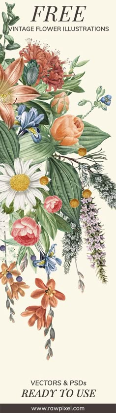 a bouquet of flowers is shown on the cover of an antique flower illustrations book,