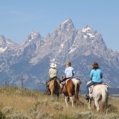 Jackson Hole Dude Ranch | Moose Head Ranch | Wyoming Ranch Wyoming, Jacksonhole Wyoming, Dude Ranch Vacations, Ranch Vacation, Family Ranch, All Inclusive Trips, Moose Head, Guest Ranch, Dude Ranch