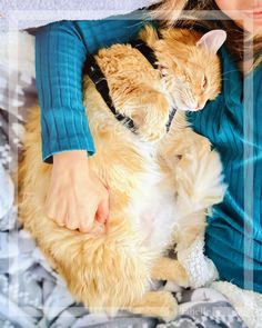 a woman holding a cat in her arms