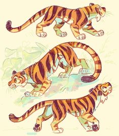 three different pictures of tigers in various poses