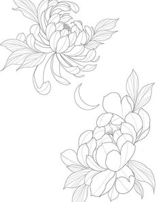 two flowers with leaves on them are shown in black and white, one is drawn by hand