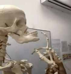 a human skeleton is shown in front of a mirror