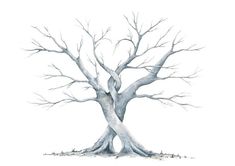 a drawing of a tree with no leaves