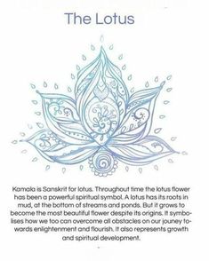 the front cover of what is the meaning of the lotus?, with an image of a