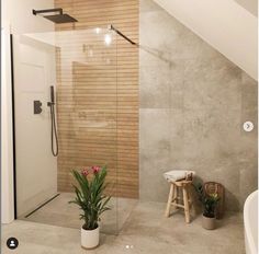 a bathroom with a shower, toilet and plant in it