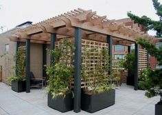 an outdoor patio with several planters on the sides and a pergolated roof